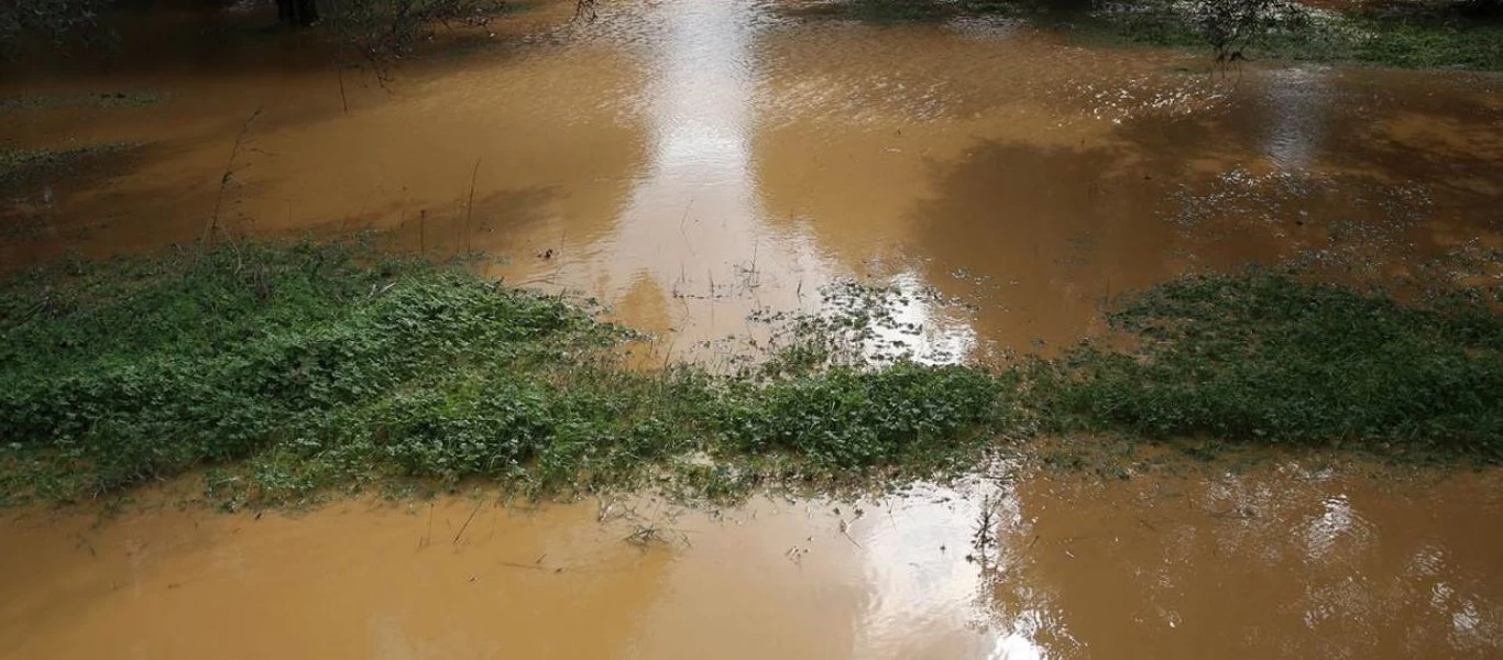 Διψασμένος άντρας κολυμπά στα λασπόνερα για να φέρει... μπύρες (βίντεο)